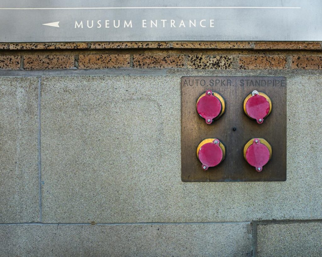 pexels photo 8675573.jpeg