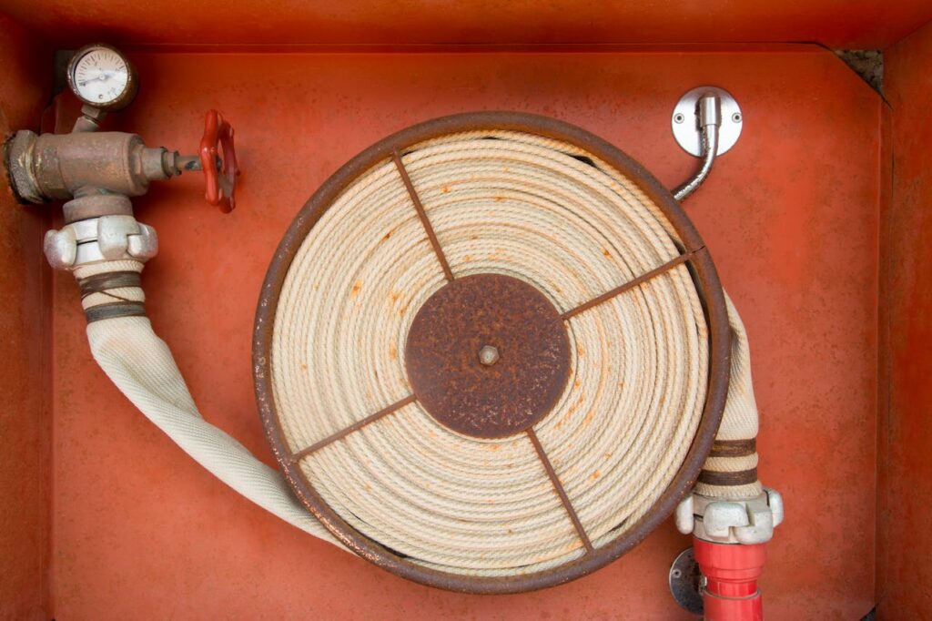 pexels photo 9008241.jpeg